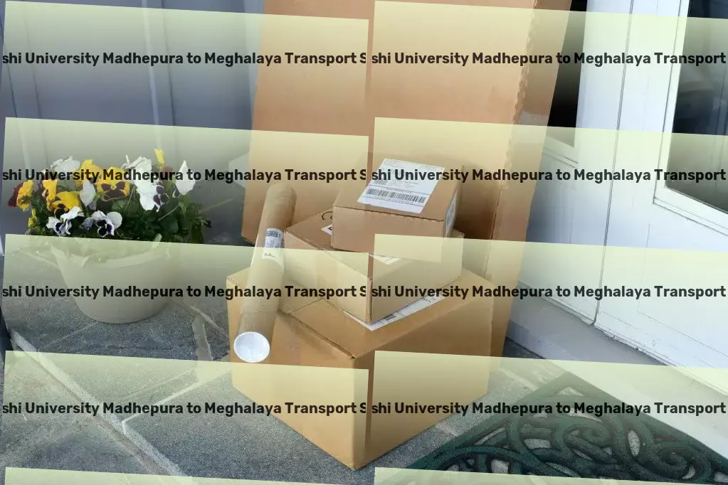 Abhilashi University Madhepura to Meghalaya Transport Urban freight solutions