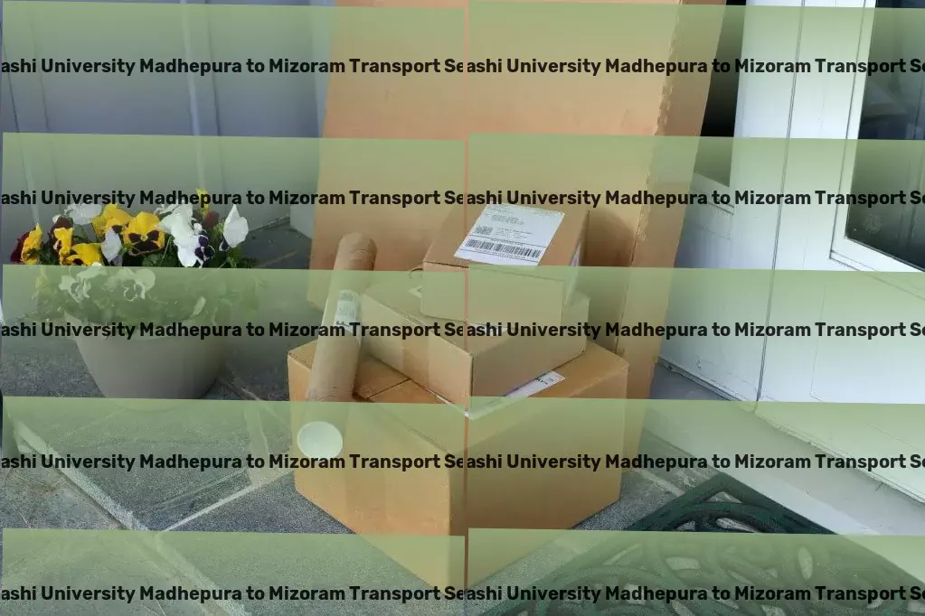 Abhilashi University Madhepura to Mizoram Transport Professional cargo forwarding