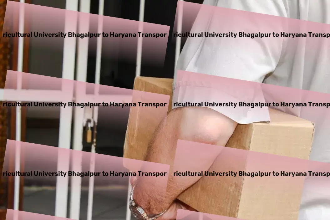 Bihar Agricultural University Bhagalpur to Haryana Transport High-speed logistics services