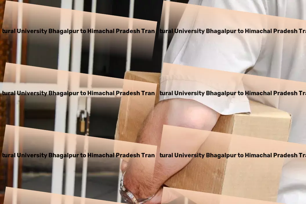 Bihar Agricultural University Bhagalpur to Himachal Pradesh Transport Cargo transport solutions