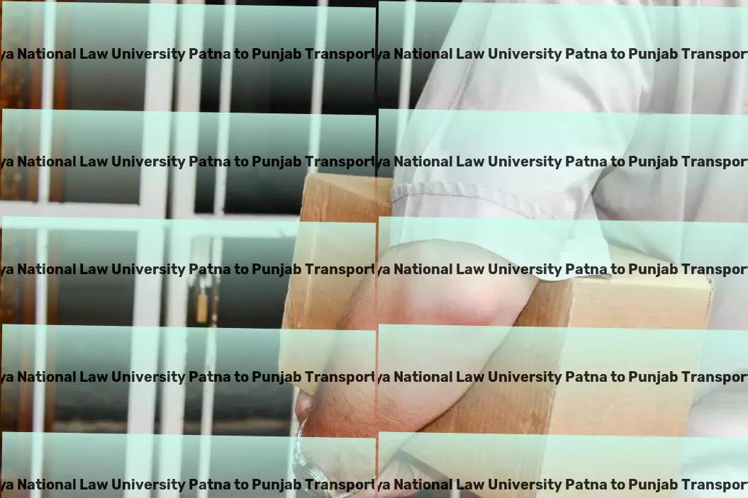 Chanakya National Law University Patna to Punjab Transport Freight management