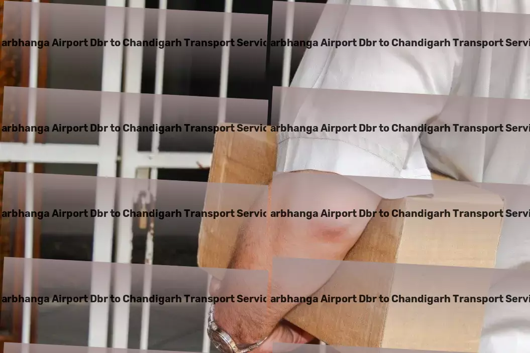 Darbhanga Airport Dbr to Chandigarh Transport Cherish your hobbies by turning them into projects! - Local freight logistics services