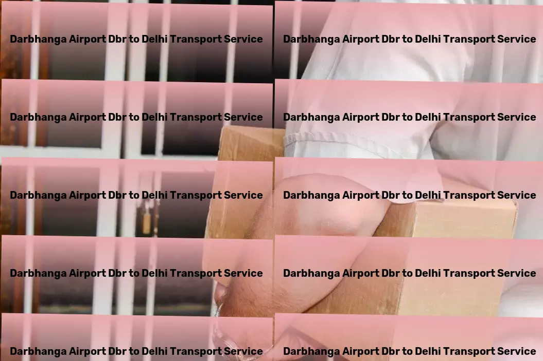 Darbhanga Airport Dbr to Delhi Transport Nationwide transport services