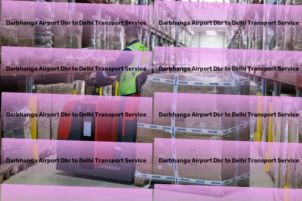 Darbhanga Airport Dbr to Delhi Transport Efficient bike moving