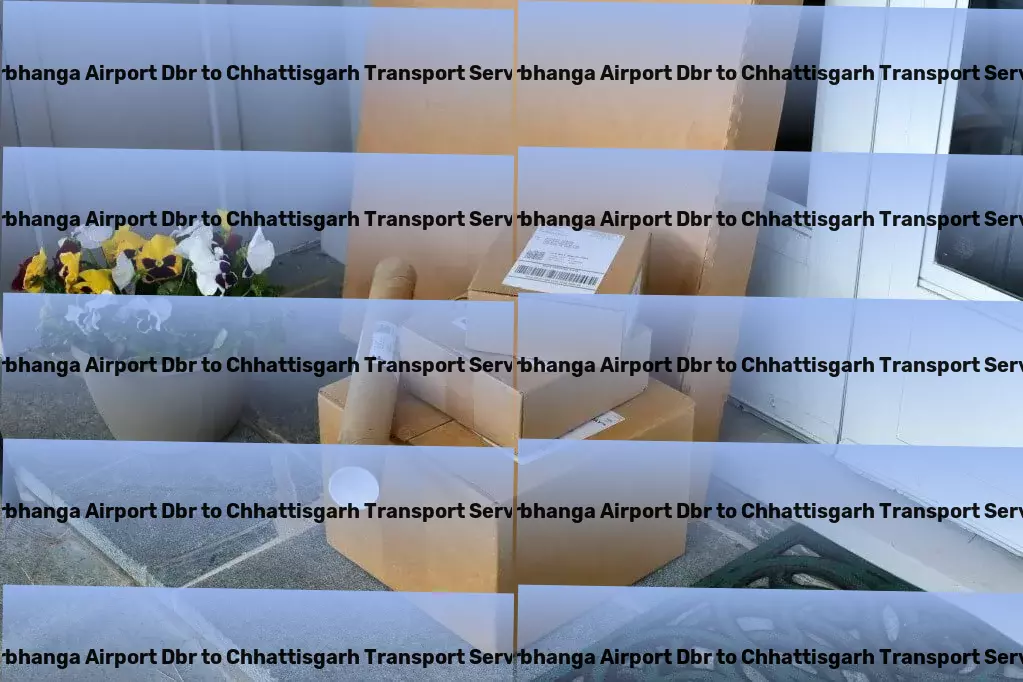 Darbhanga Airport Dbr to Chhattisgarh Transport Professional logistics services