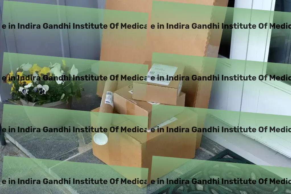 Luggage Courier in Indira Gandhi Institute Of Medical Sciences Patna, Bihar (BR) Specialized household moving