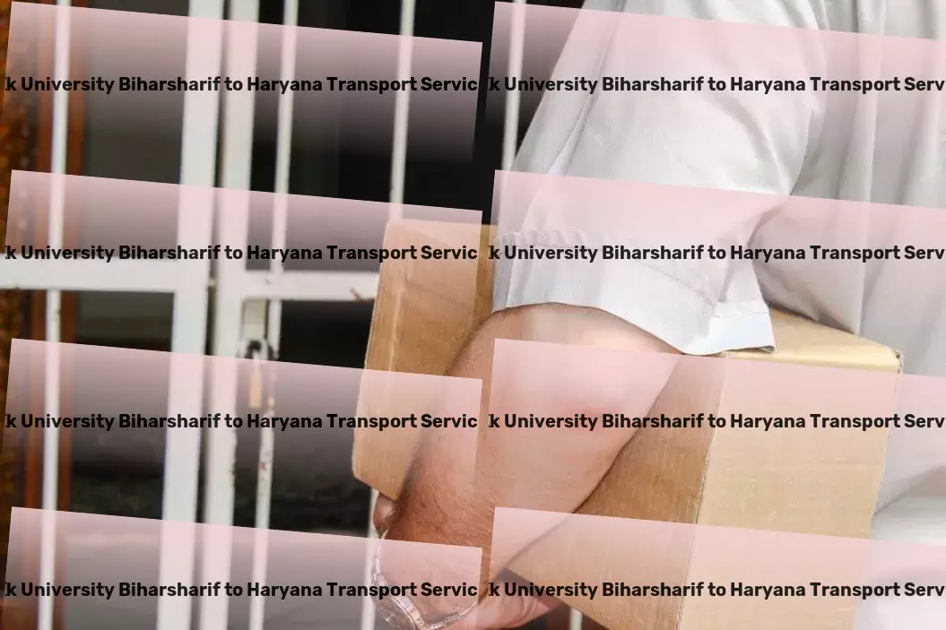 Kk University Biharsharif to Haryana Transport Customized transport coordination