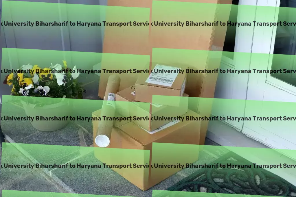 Kk University Biharsharif to Haryana Transport Custom freight solutions