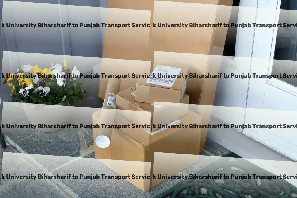 Kk University Biharsharif to Punjab Transport Long-distance shipping services