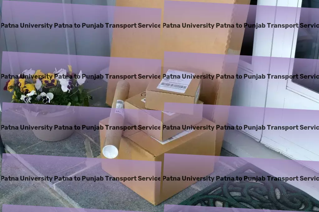 Patna University Patna to Punjab Transport National furniture transport